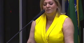 Foto: (Reprodução/TVCâmara)