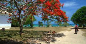 Uma maravilhosa beleza de Trancoso que ninguém conhece