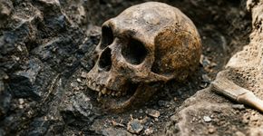 Cientistas leram o DNA de 27 neandertais e encontraram uma assimetria intrigante: eles não carregavam sinais recentes de Homo sapiens, embora nossos ancestrais carregassem DNA neandertal