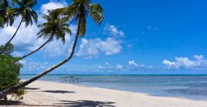 Foto: (Andreas Giannakis/iStock)