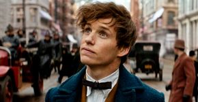 ONG levará fãs para set de sequência de ‘Animais Fantásticos’