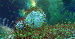 Foto: (iSTock)