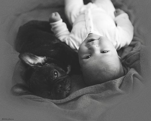 Dilan e seu buldogue francês, Farley