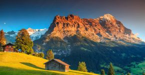 Foto: (Janoka82/iStock)