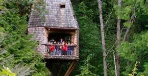 Seattle tem escola pública no meio da floresta