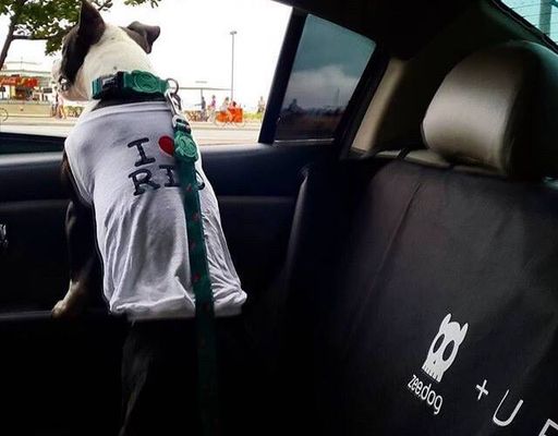 Divulgação / Uber