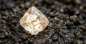 Após apenas 20 dias de escavação, agricultor encontra diamante de 4,70 quilates e vê a chance de mudar de vida