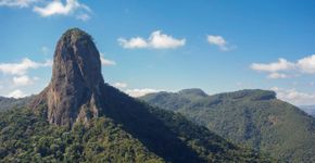 Foto: (caio acquesta/istock)