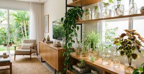 3 plantas de interior que vivem na água e melhoram a qualidade do ar: fáceis de cuidar