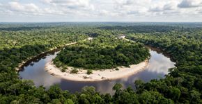 Mais de 2,2 milhões de hectares de floresta amazônica contínua e uma bacia inteira de águas pretas: o parque do Amazonas que é o único do Brasil a proteger praticamente toda a bacia hidrográfica de um rio desse tipo