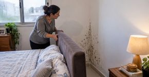 Moradores passaram anos culpando a pintura por manchas que surgiam sempre nos mesmos cantos da casa, até um profissional fazer uma pergunta simples sobre o que eles faziam quando o frio começava