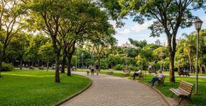A segunda melhor cidade do Brasil em qualidade de vida: o município paulista marcado pela imigração italiana e pela ferrovia, onde uma mutação espontânea deu origem à uva Niagara Rosada em 1933