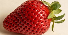 Poucos sabem que o morango não é fruta, mas o tomate é