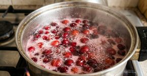Colocar frutas vermelhas congeladas diretamente em vitaminas e sobremesas parece seguro porque o congelamento conserva os alimentos, mas alguns vírus podem permanecer ativos: na Finlândia, a autoridade alimentar recomenda ferver frutas vermelhas congeladas importadas por dois minutos antes do consumo