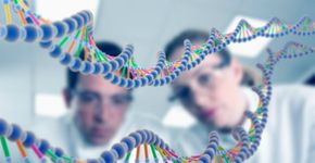 Biologia: Bases da Hereditariedade