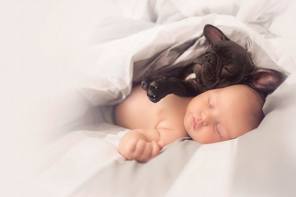 Dilan e seu buldogue francês, Farley