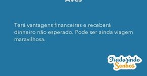 Pássaros traduzem no corpo o sonho da liberdade