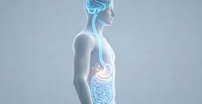 Existe um motivo biológico para você sentir frio na barriga