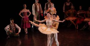 Foto: (Reprodução / Instagram @saopaulociadedanca / Crédito: Íris Zanetti)