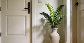 Segundo o Feng Shui, que planta devemos colocar na entrada de nossa casa para atrair prosperidade?
