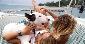 Casal brasileiro viaja e trabalha com um cachorro em veleiro