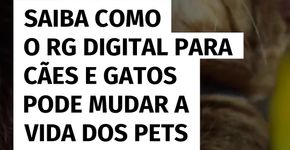 RG digital para pets promete transformar a vida de cães e gatos