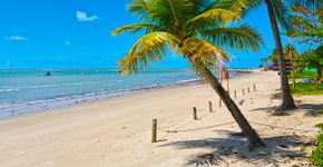 Foto: (ribeirorocha/iStock)