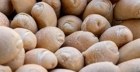 Foto: (iStock/Wirestock)