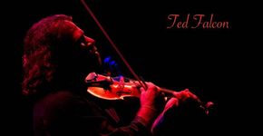 Ted Falcon, violinista