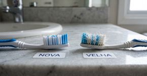 A escova de dentes não deve ser trocada de seis em seis meses ou uma vez por ano: este é o tempo ideal para fazer a troca
