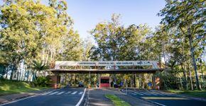 Foto: (Milanetto/Divulgação)