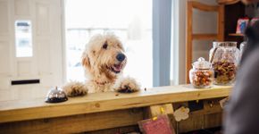 Foto: (SolStock/iStock)
