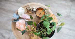 Foto: (Yana Yakubovski/istock)