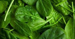 Anemia: dicas de alimentos que ajudam a prevenir a doença