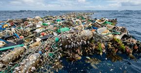 A Grande Mancha de Lixo do Pacífico está se tornando um continente flutuante habitado por criaturas marinhas