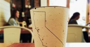 Empresa americana cria copo de café ‘plantável’