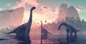 Foto: (Orla/iStock)
