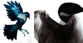 Incríveis pinturas de aves por Adam S. Doyle