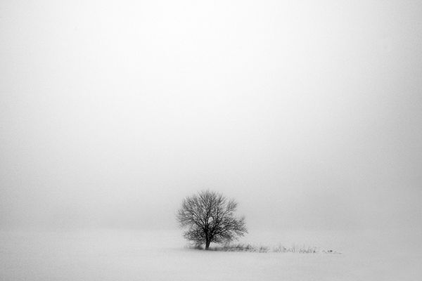 Foto: Todd Klassy
