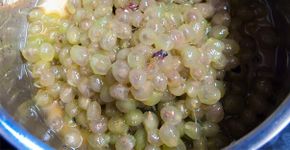 Fotos de frutas descascadas podem ser bem esquisitas. Duvida?
