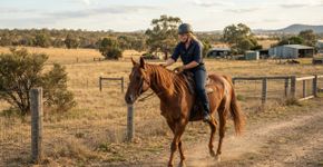 A Austrália busca voluntários para cuidar de cavalos em 2027: oferece acomodação, alimentação, transporte e passeios gratuitos pela cidade