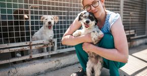 Foto: (iStock)