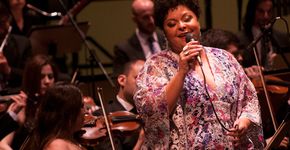 Orquestra Jazz Sinfônica se apresenta no Auditório Ibirapuera