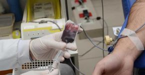 Sobrinho omite que é gay para poder doar sangue para a tia doente