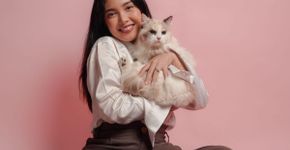 Gato sociáveis: 7 raças que gostam de companhia 