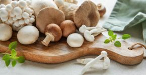 Cogumelos: conheça os principais tipos, benefícios e como incluí-los na dieta