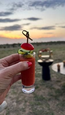 Gaspacho de tomate como aperitivo em picnic na savana, no menu plant based criado especialmente para mim pelo lodge