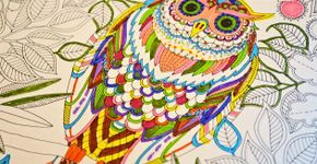 Livros de colorir aliviam estresse e destacam fuga para problemas pessoais
