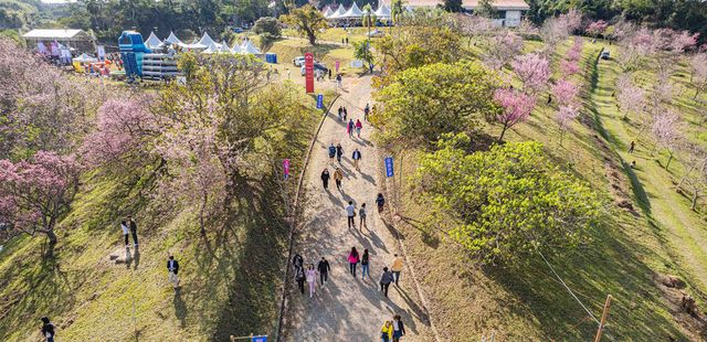 28º Festival das Cerejeiras Bunkyos – Sakura Matsuri