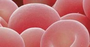 Campanha de Cadastro de Doador de Medula Óssea